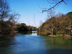 -白马涧龙池景区