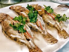 清燕鳜鱼-壹零贰小馆(桂城石啃店)