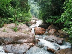 -广州白江湖森林公园