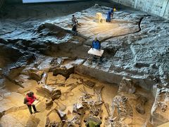 -自贡恐龙博物馆