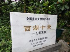-西湖外事游船(花港观鱼码头)