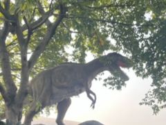 -自贡恐龙博物馆