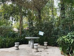 -青城道汤池