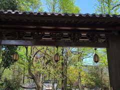 -西湖风景区十里琅珰-五云山
