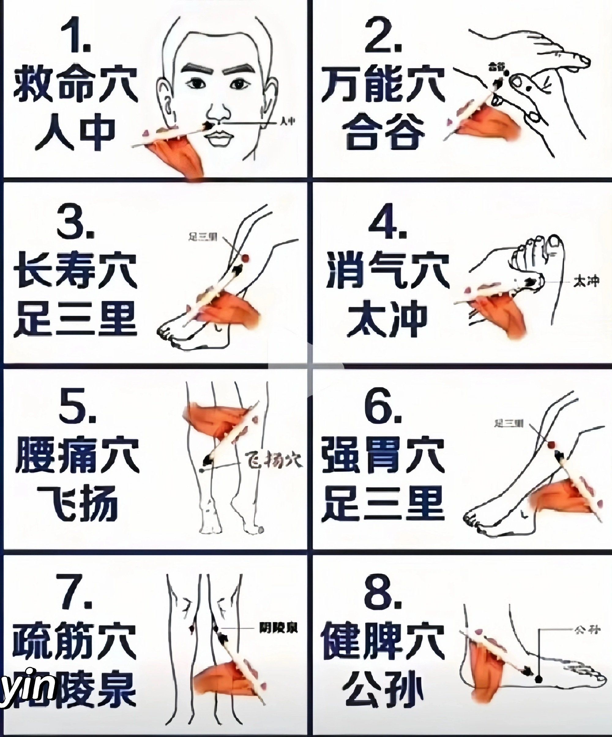 天天领红包 分享一下各个部位的推拿穴位