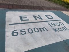 -武汉知音号