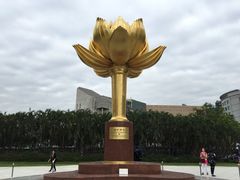 -金莲花广场