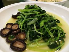 香菇青菜-花园茶楼(兴城西路店)