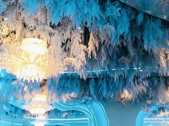 -湖锦酒楼·32年地道湖北菜(光谷店)