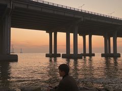 -宝安西湾红树林湿地公园