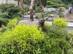 -中国茶叶博物馆(双峰馆区)