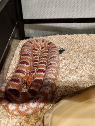 -Zoolung Zoolung动物主题公园(海信广场店)