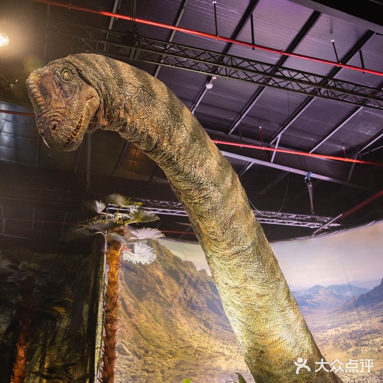 恐龙来啦🦕侏罗纪世界电影特展登陆魔都🦖燃爆了💥