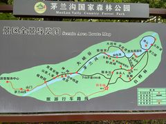 -茅兰沟国家森林公园