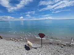 -青海湖国家重点风景名胜区