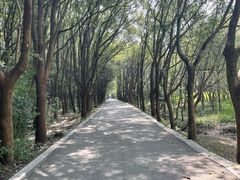 -同里国家湿地公园