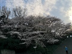 -杭州少年儿童公园