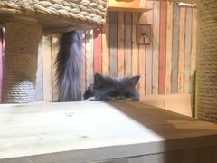 -小时光咖啡馆(开森度假森林店)