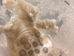 芋泥波波茶-喜茶(永旺梦乐城店)