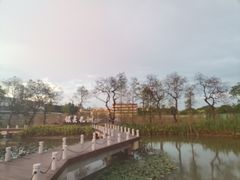 -长洲岛