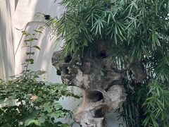 -苏州园林博物馆