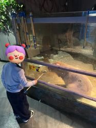 -未来动物城主题公园(正弘城店)