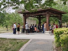 -鲤鱼山公园