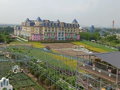 -百万葵园