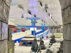 -湘江欢乐城欢乐雪域