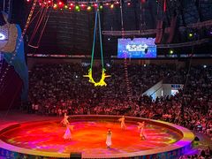 -俄罗斯国家大马戏团