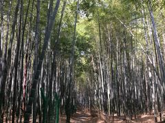 -宝岩生态观光园