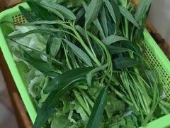 蔬菜拼盘-佳荣老五生态牛肉馆