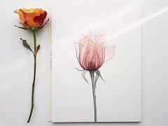 -八哥美术·成人美术画室(总校区)