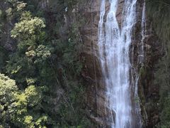 -九龙江国家森林公园