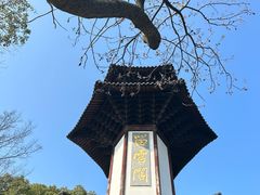 -上海佘山国家森林公园天马山园