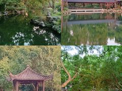 -浙江西子宾馆·瑶园咖啡厅