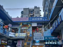 门面-猫咪博物馆(顶澳仔猫街店)