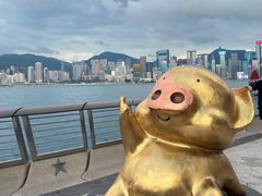-香港理工大学