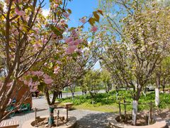 -长白岛森林公园