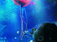 -沈阳海洋探索中心