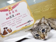 -中农大我爱我爱动物医院·核磁CT·猫病·24小时夜诊中心(石佛营店)