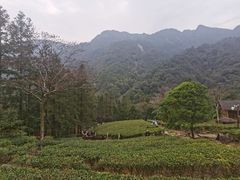 -姑婆山旅游区
