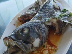 -七鲜渔港美食餐厅(巽寮湾海景店)