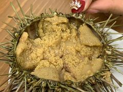 生海胆-海胆小馆(东北水饺·春柳店)