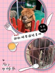 -萌宠亲子动物乐园(槐房万达店)