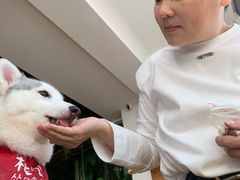 -Husky Go! 哈士奇体验馆·宠物咖啡厅狗咖