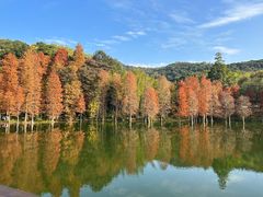 -广州市白云山风景名胜区