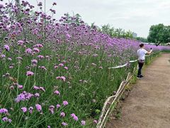 -杭州城北体育公园