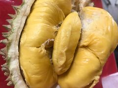 -都念榴莲·城市榴莲