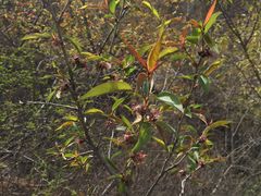 -碓臼峪自然风景区